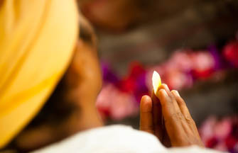 show special VeggieHotels offers