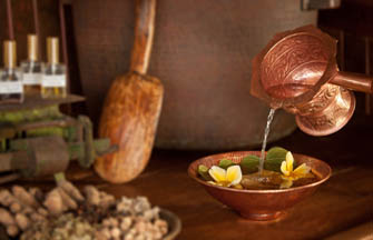 show special VeggieHotels offers