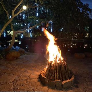 instagram @veggiehotels