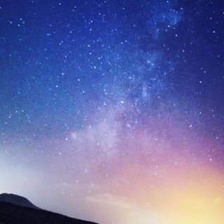 instagram @veggiehotels