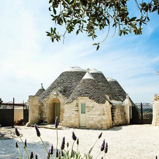 instagram @veggiehotels