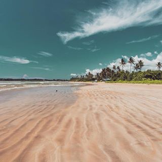 instagram @veggiehotels