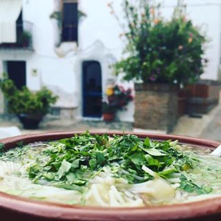 instagram @veggiehotels