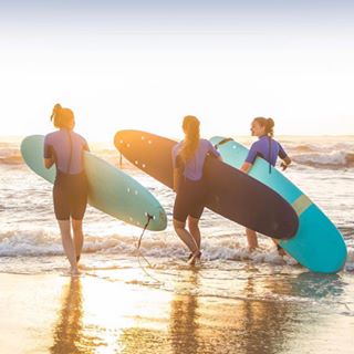 instagram @veggiehotels