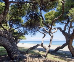 Daphne´s Club, Peloponnes, Xylokastro