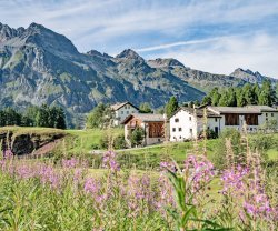 Chesa Pool, Kanton Graubünden, Fex