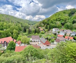 Vor lauter Bäumen B&B, Niedersachsen, Walkenried, OT Zorge