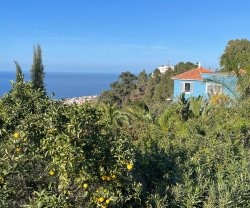 Casita Ayurveda Tenerife, Tenerife, Icod de los Vinos - S/C de Tenerife