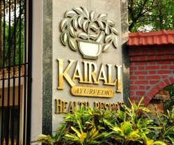 Kairali - The Ayurvedic Healing Village, Kerala, Dist. Palakkad