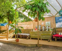 Vegan Surf Camp, Nouvelle-Aquitaine, Moliets-Plage