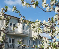 Pension Cherry Blossom, Istrien, Ližnjan