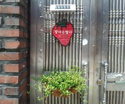 Sleeping Strawberry Guesthouse, Seoul, Seoul