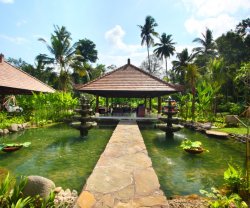 BeingSattvaa, Bali, Ubud