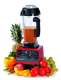 Keimling Vitamix